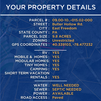 SOLD - 9.8 Acres With NO HOA! Camping, RV, Mobile/Tiny Homes, Airbnb All OK! Hunt At State Games Lands 147/198!