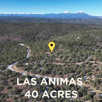 SOLD - Unrestricted 40-Acre Hunting & Recreational Land! No Min. Build