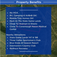SOLD - 9.8 Acres With NO HOA! Camping, RV, Mobile/Tiny Homes, Airbnb All OK! Hunt At State Games Lands 147/198!