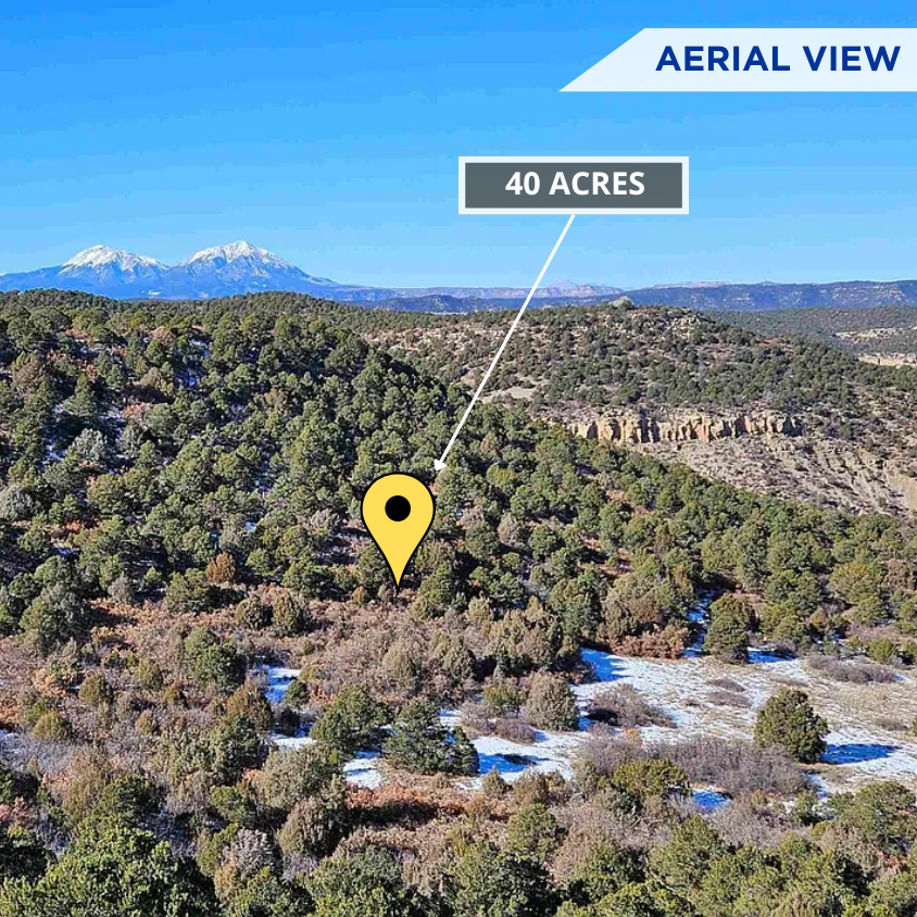 SOLD - Unrestricted 40-Acre Hunting & Recreational Land! No Min. Build