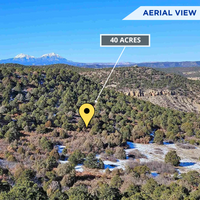 SOLD - Unrestricted 40-Acre Hunting & Recreational Land! No Min. Build