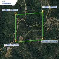 SOLD - Unrestricted 40-Acre Hunting & Recreational Land! No Min. Build